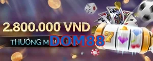 DOM88