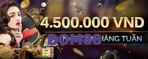 DOM88