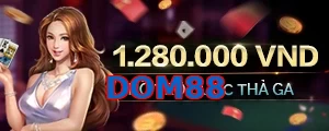 DOM88