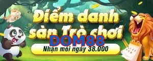 DOM88
