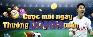 DOM88